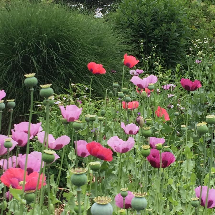 Weurt Bed And Garden Alde Coninckshof B&B 외부 사진